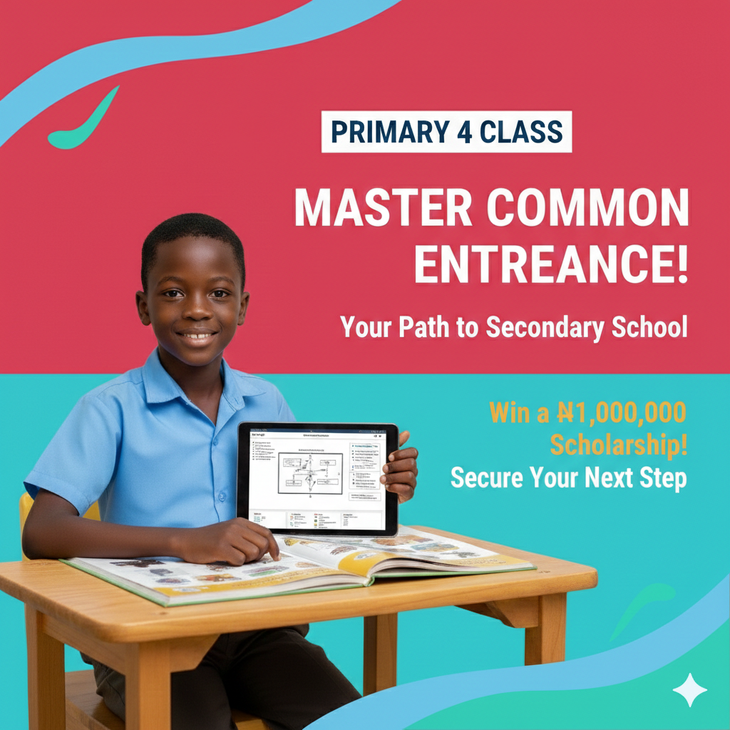 Primary 4 Excellence Class